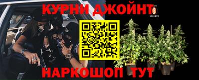 прущие крисы Гагарин