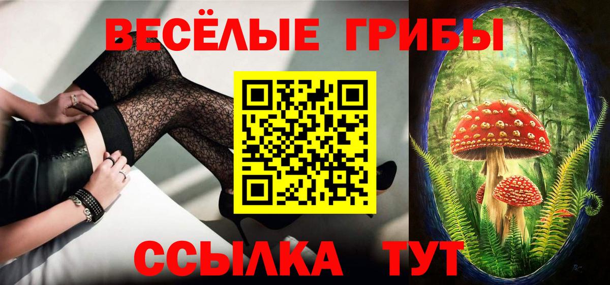 Псилоцибиновые грибы прущие грибы  Псилоцибиновые грибы Psilocybine cubensis  Невинномысск  Вход с VPN 
