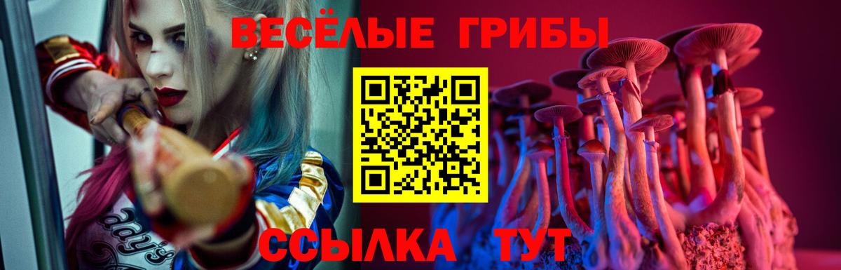 Галлюциногенные грибы мицелий Невинномысск