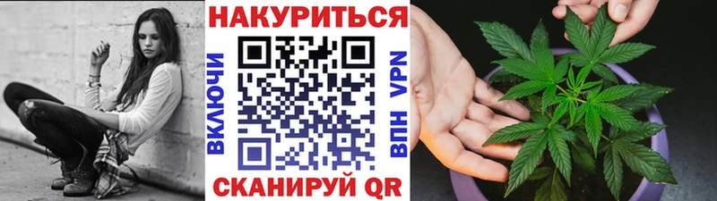 Конопля ГИДРОПОН  как найти закладки  Невинномысск 